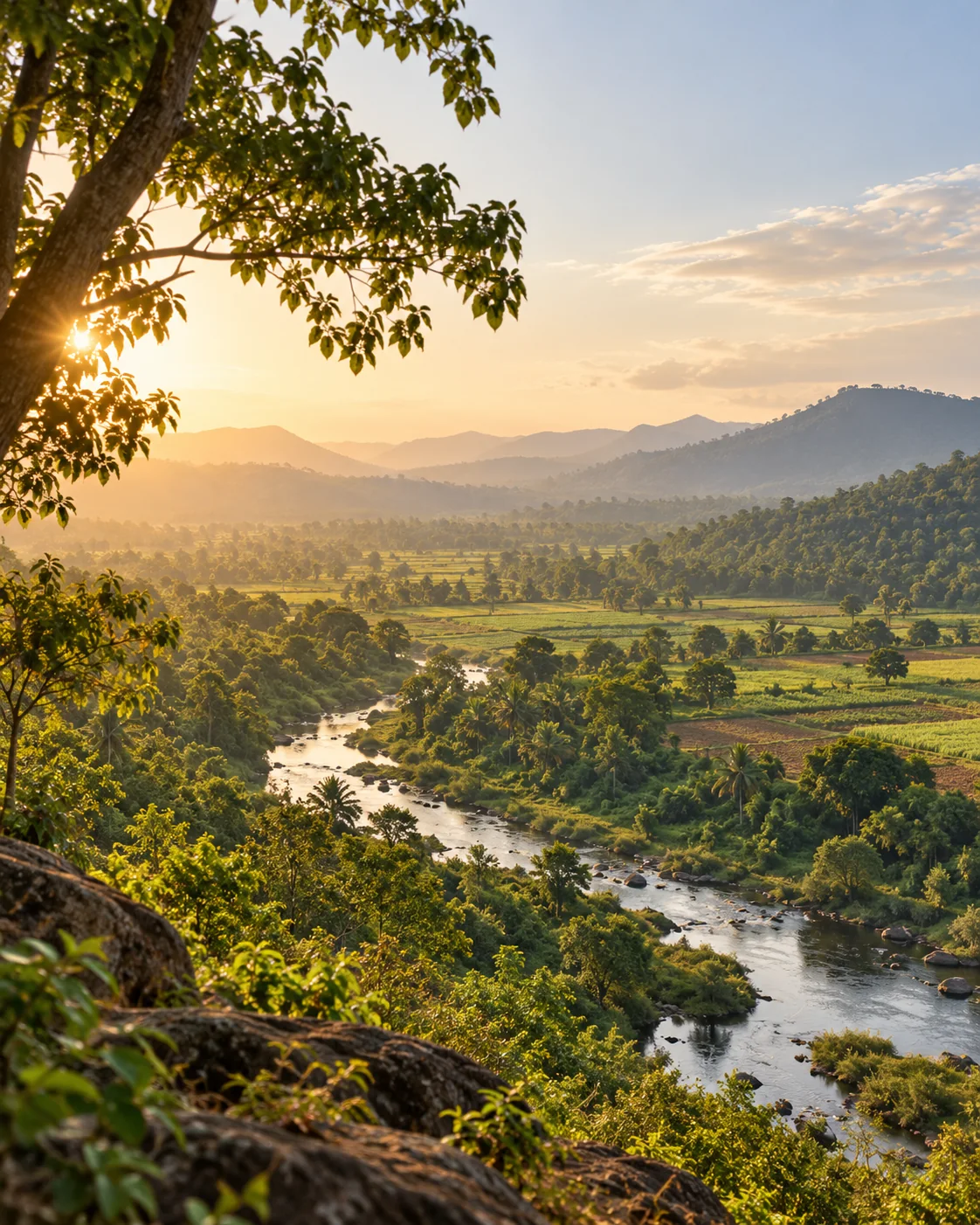 Forest, farmland and restoration landscape in India at golden hour